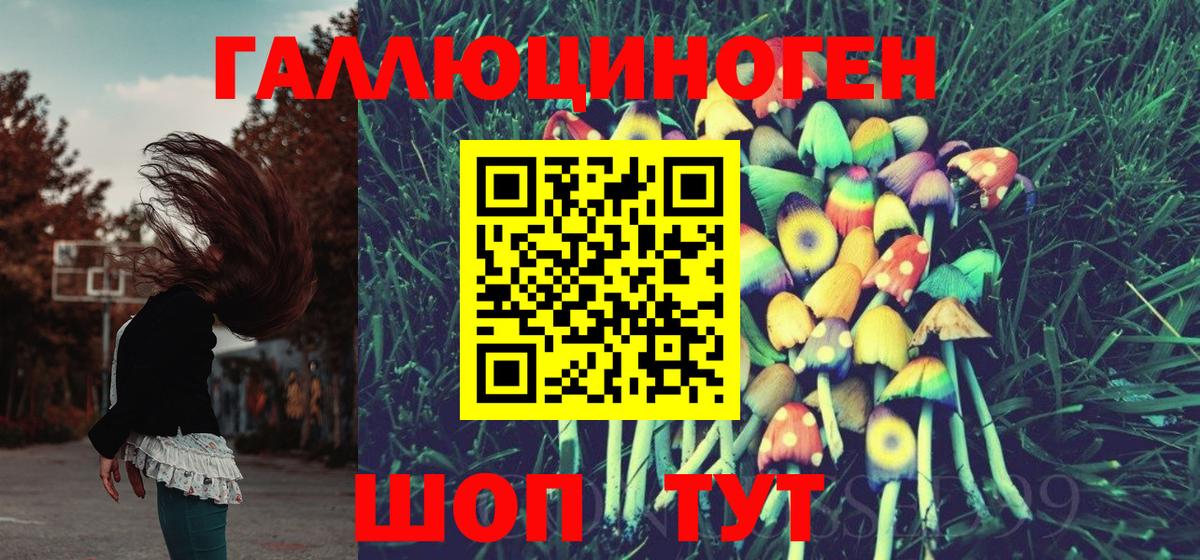 Апатиты  Галлюциногенные грибы GOLDEN TEACHER  Вход с VPN  Псилоцибиновые грибы GOLDEN TEACHER 